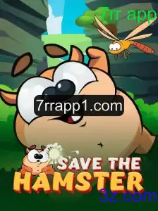 SavetheHamster: Conheça o Jogo que Conquistou o Mundo Mobile